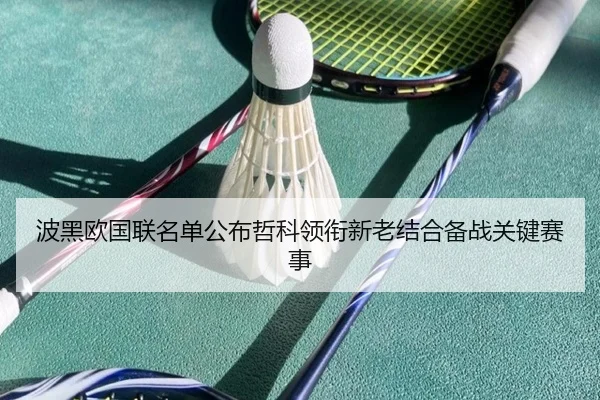 波黑欧国联名单公布哲科领衔新老结合备战关键赛事